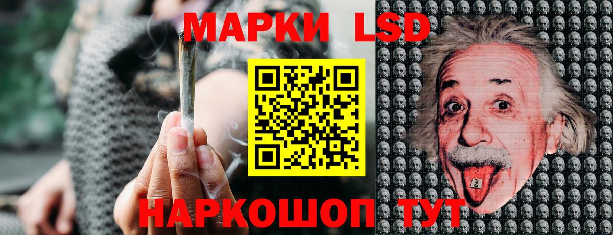 Лсд 25 Коряжма