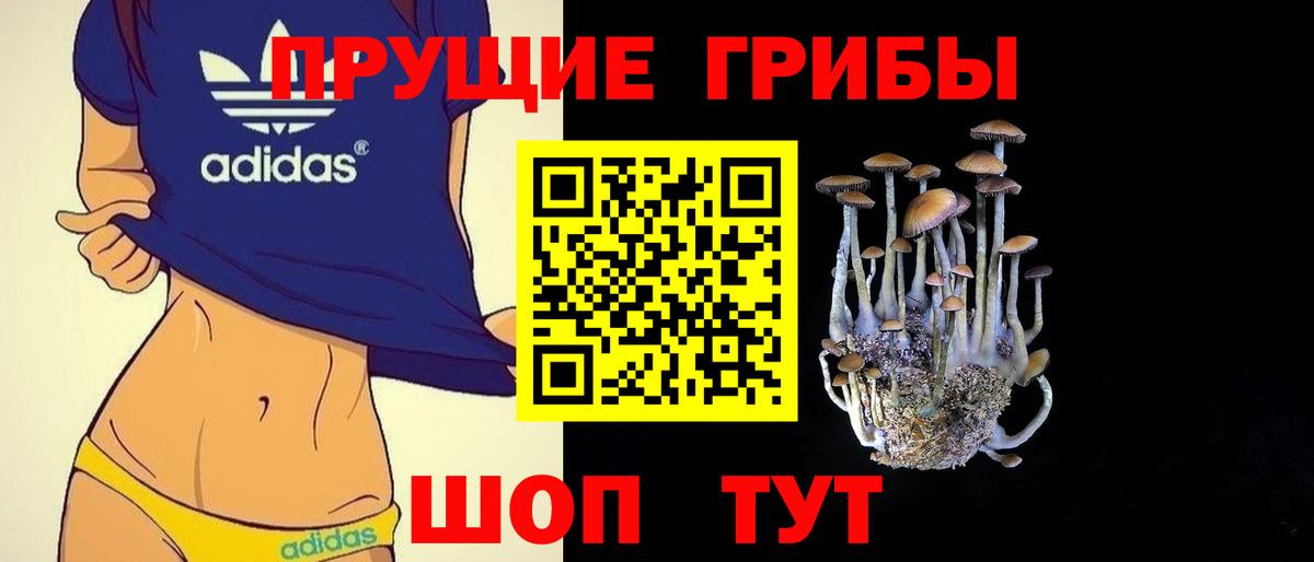 Галлюциногенные грибы прущие грибы  Вход с VPN  Коряжма  Галлюциногенные грибы Psilocybine cubensis 